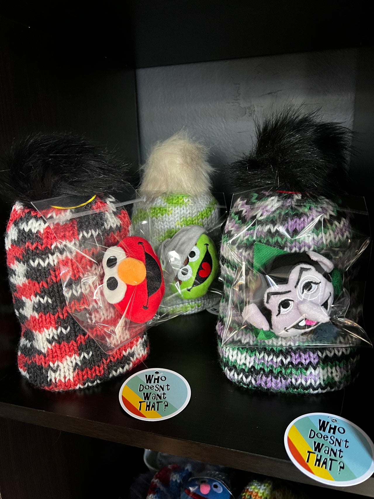 Sesame Street Childs Winter Hats, BEANIE